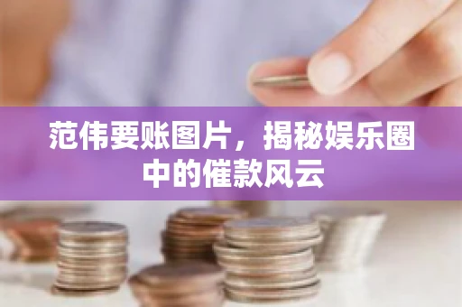 范伟要账图片，揭秘娱乐圈中的催款风云