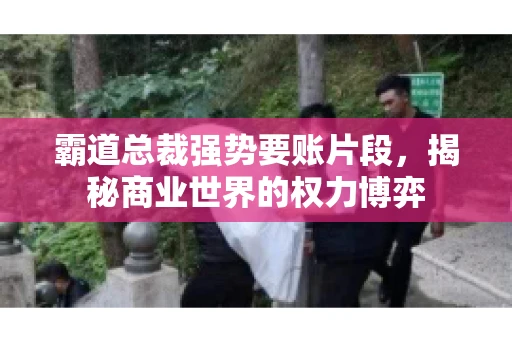 霸道总裁强势要账片段，揭秘商业世界的权力博弈