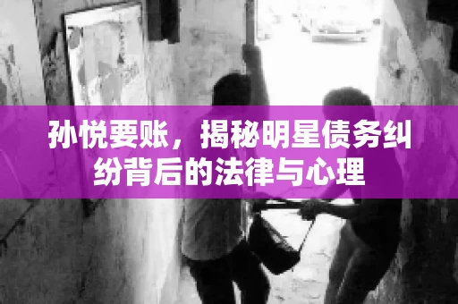 孙悦要账，揭秘明星债务纠纷背后的法律与心理