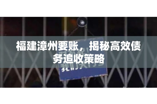 福建漳州要账，揭秘高效债务追收策略