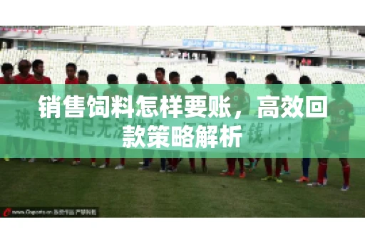 销售饲料怎样要账，高效回款策略解析