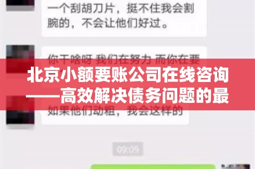 北京小额要账公司在线咨询——高效解决债务问题的最佳途径