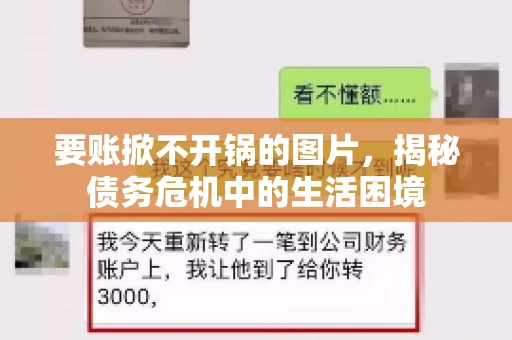 要账掀不开锅的图片，揭秘债务危机中的生活困境