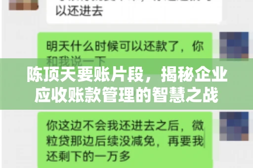 陈顶天要账片段，揭秘企业应收账款管理的智慧之战