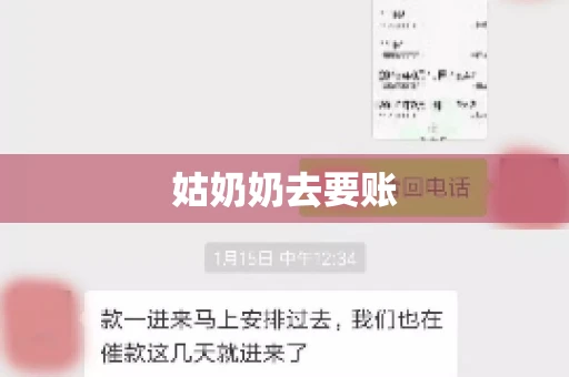 姑奶奶去要账