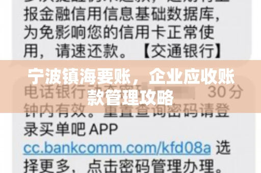 宁波镇海要账，企业应收账款管理攻略