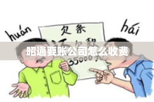 昭通要账公司怎么收费