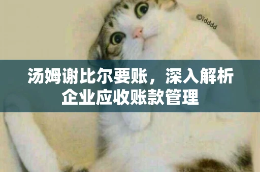 汤姆谢比尔要账，深入解析企业应收账款管理