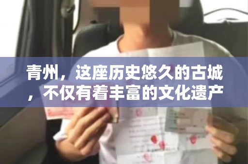 青州，这座历史悠久的古城，不仅有着丰富的文化遗产，还有着繁忙的经济活动。在商业往来中，难免会遇到一些欠款问题，这时候，找一家专业的要账公司就显得尤为重要。那么，青州有帮人要账的吗？答案是肯定的。下面，我就来为大家详细介绍一下青州地区的要账服务。