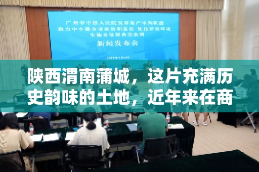 陕西渭南蒲城，这片充满历史韵味的土地，近年来在商业活动中也展现出了其独特的活力。其中，关于“陕西渭南蒲城要账”的话题，成为了不少企业关注的焦点。今天，我们就来聊聊这个话题，看看在蒲城，要账的那些事儿。