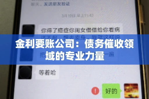 金利要账公司：债务催收领域的专业力量