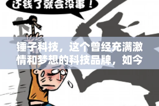 锤子科技，这个曾经充满激情和梦想的科技品牌，如今却陷入了要账的困境。今天，我们就来聊聊锤子科技要账的那些事儿。