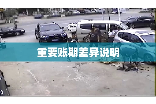 重要账期差异说明