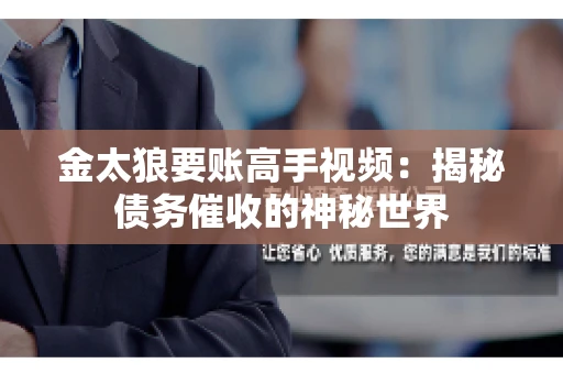 金太狼要账高手视频：揭秘债务催收的神秘世界