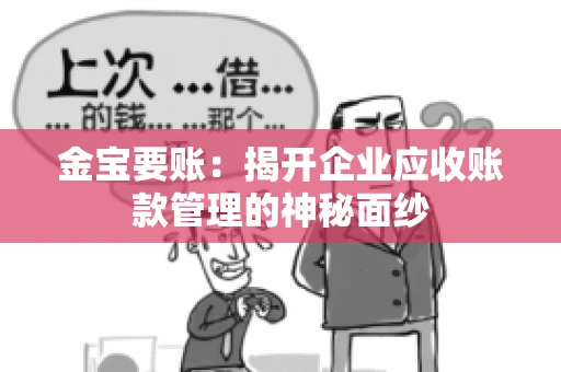 金宝要账：揭开企业应收账款管理的神秘面纱