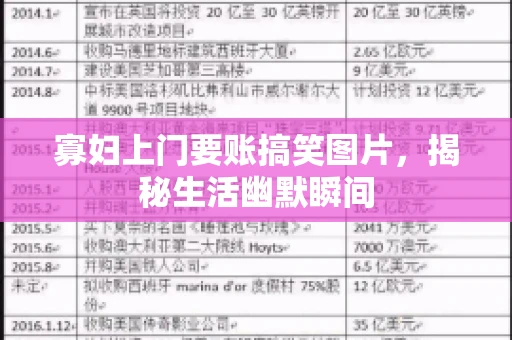寡妇上门要账搞笑图片，揭秘生活幽默瞬间