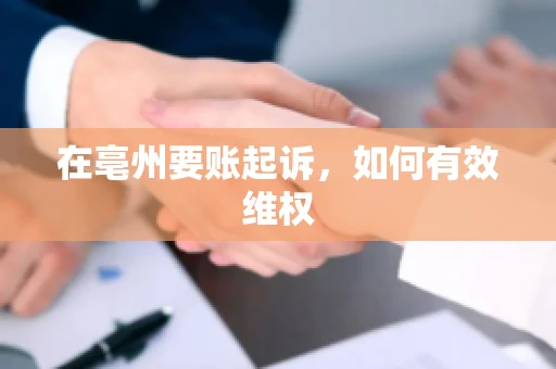 在亳州要账起诉，如何有效维权