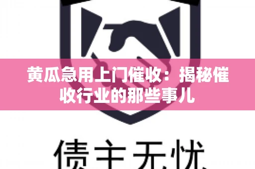 黄瓜急用上门催收：揭秘催收行业的那些事儿