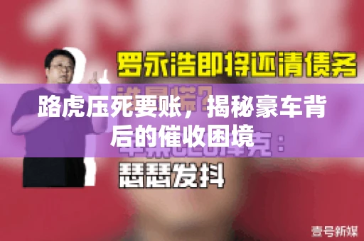 路虎压死要账,揭秘豪车背后的催收困境 路虎压死要账,揭秘豪车背后的催收困境